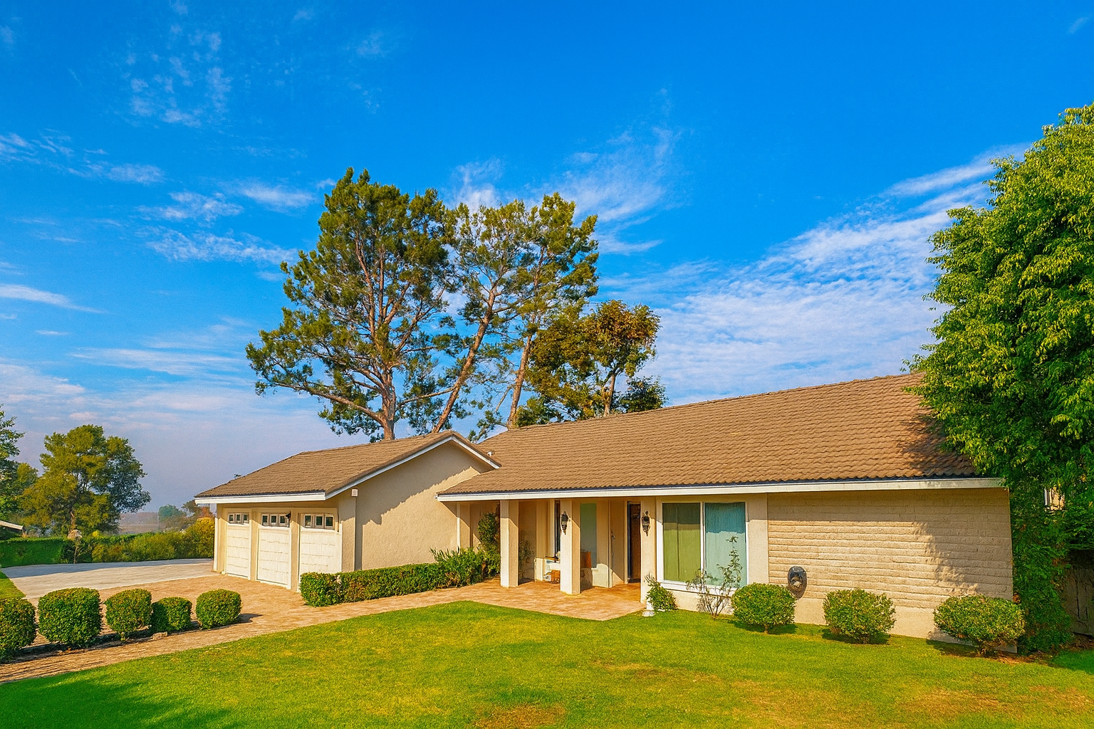 ChatGPT Image Nov 14, 2025, 02_48_26 PM